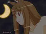  dark highres holo red_eyes spice_and_wolf vector wolf_ears 