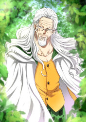  1boy beard blurry cape closed_mouth commentary_request depth_of_field facial_hair green_pants highres long_hair looking_at_viewer male_focus musasabiop old old_man one_piece orange_shirt outdoors pants round_eyewear scar scar_across_eye scar_on_face shirt silvers_rayleigh smile solo white_cape white_hair wrinkled_skin 