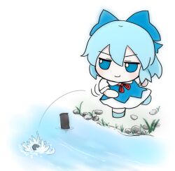  1girl azuma_meri blue_bow blue_dress blue_eyes blue_hair blue_shoes bow chibi chibi_only cirno closed_mouth collared_shirt commentary_request double-parted_bangs dress full_body fumo_(doll) grass hair_between_eyes hair_bow jitome neck_ribbon pebble pinafore_dress red_ribbon ribbon shirt shoes short_hair short_sleeves simple_background sleeveless sleeveless_dress smile solo standing standing_on_one_leg touhou v-shaped_eyebrows water white_background white_shirt 
