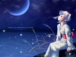  blue japanese_clothes moon tagme 