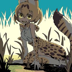 1girl animal_ears blonde_hair bow bowtie cat_ears elbow_gloves gloves grass hair_between_eyes kemono_friends kneeling looking_at_viewer open_mouth outdoors print_bow print_bowtie saboteri_(savot) serval_(kemono_friends) shirt sleeveless sleeveless_shirt solo tail thigh-highs yellow_eyes 
