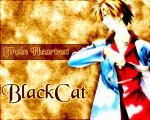  black_cat tagme train_heartnet 