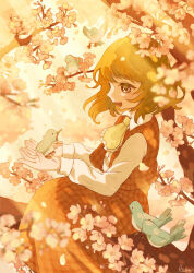  1girl ascot bird bird_on_hand blush cherry_blossoms chiri_sousu commentary_request dress_shirt falling_petals frilled_ascot frills green_hair highres kazami_yuuka light_rays long_sleeves looking_at_animal outdoors petals plaid_clothes plaid_skirt plaid_vest profile red_skirt red_vest shirt short_hair sitting sitting_on_branch skirt smile touhou vest white_shirt yellow_ascot 