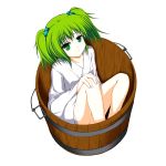  absurdres bucket collarbone girl_in_bucket green_eyes green_hair hair_bobbles hair_ornament highres hoshizuki_(seigetsu) in_bucket in_container kisume long_sleeves seigetu short_hair short_twintails smile solo touhou transparent_background twintails wide_sleeves 