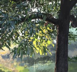  blurry blurry_background branch day highres leaf narihayao nature no_humans original outdoors plant plant_focus scenery sparkle sunlight tree water 