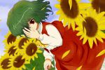  flower green_hair highres kazami_yuuka red_eyes solo sunflower toranashi touhou youkai 