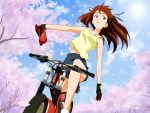  bike cherry_blossoms neon_genesis_evangelion soryu_asuka_langley souryuu_asuka_langley 