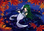  bare_shoulders detached_sleeves frog green_eyes green_hair hair_ornament hair_tubes kochiya_sanae long_hair snake solo submerged touhou very_long_hair zzz36951 