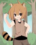  bonobono brown_hair hand_on_hip hips kita_(caramel) personification raccoon_dog squirrel tanuki 