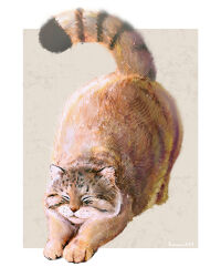  animal animal_focus artist_name border brown_background brown_cat cat commentary_request highres kamimon2016 no_humans original outside_border pallas's_cat stretching white_border 