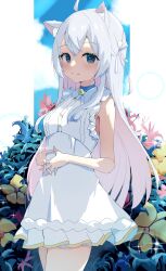  1girl absurdres ahoge animal_ear_fluff animal_ears bare_arms bare_shoulders bell blue_eyes blue_sky blush breasts cat_ears cat_girl closed_mouth collar collared_dress commentary_request cowboy_shot day dress flower hair_between_eyes highres indie_virtual_youtuber interlocked_fingers jingle_bell kagura_nana kagura_nana_(2nd_costume) liyaku long_hair looking_at_viewer multicolored_hair neck_bell outdoors own_hands_together pleated_dress ribbon sky sleeveless sleeveless_dress small_breasts smile solo standing steepled_fingers very_long_hair white_dress white_hair white_ribbon 