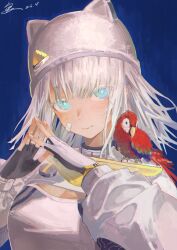  1girl absurdres animal_ears animal_on_shoulder arknights arknights:_endfield artist_name bandaid bandaid_on_cheek bandaid_on_face bird bird_on_shoulder black_gloves blue_background blue_eyes blush breasts cat_ears commentary_request dated estella_(arknights) extra_ears fingerless_gloves gloves hat highres nu_liang_016 parrot signature simple_background small_breasts smile solo steepled_fingers upper_body white_background white_hair white_hat 