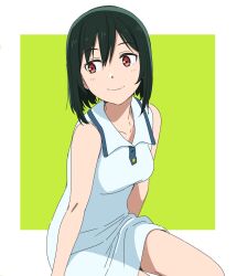  1girl bare_shoulders black_hair border breasts closed_mouth collared_dress commentary dress green_background highres looking_to_the_side love_live! love_live!_nijigasaki_high_school_idol_club medium_breasts medium_hair mifune_shioriko outside_border polo_dress red_eyes sano_keiichi short_dress simple_background sitting sleeveless sleeveless_dress smile solo white_border white_dress 