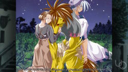  1girl 2000s_(style) 2boys aleph_coulson animal_nose anime_coloring arisa_astia atelier-moo back-to-back brown_eyes brown_hair brown_skirt closed_eyes comedic_sweatdrop furry furry_male game_cg grey_shirt hair_bun hair_slicked_back hat head_hug kneeing long_hair long_skirt long_sleeves mature_female multiple_boys muscular muscular_male night non-web_source official_art outdoors pete_ross_(wolf_form) purple_hat shirt short_hair short_sleeves shorts sidelocks sitting skirt standing striped_hat t-shirt tail variant_set werewolf white_hair wolf_boy wolf_tail yuukyuu_gensoukyoku 