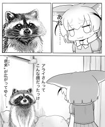  animal animal_ears bed bow bowtie commentary_request common_raccoon_(kemono_friends) extra_ears fennec_(kemono_friends) fox_ears fox_girl highres indoors kemono_friends mii-chan_to_yamada-san parody raccoon raccoon_ears raccoon_girl raccoon_tail shirt shizuraku short_hair skirt sweater tail translation_request 
