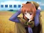  animal_ears holo spice_and_wolf wolfgirl 
