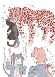  2girls absurdres anger_vein animal_ears animalization black_cat black_hair blazer blue_jacket bow bowtie cardigan cat cat_ears cat_girl cat_tail closed_eyes commentary_request ear_wiggle fang green_bow green_bowtie highres inazuma_(elect_line) jacket kemonomimi_mode leopard leopard_ears leopard_girl leopard_tail love_live! love_live!_school_idol_project medium_hair multiple_girls nishikino_maki open_clothes open_jacket open_mouth otonokizaka_school_uniform person_and_animalization pink_cardigan pointing pointing_up red_hair school_uniform scruffing simple_background tail translation_request twintails white_background winter_uniform yazawa_nico 