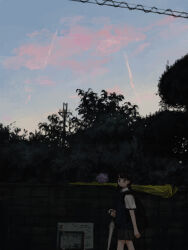  1girl absurdres black_dress black_hair closed_umbrella commentary_request dress evening flower highres holding holding_umbrella hydrangea original outdoors power_lines scenery short_sleeves solo tree umbrella uniunimikan 