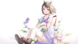  1girl absurdres amaroku_neko antlers blue_dress blue_eyes blush boots brown_hair bug butterfly commentary_request deer_antlers dress flower grass hair_ornament hairpin highres holding holding_flower holding_flowers horns indie_utaite kano_(utaite) nature outdoors puffy_short_sleeves puffy_sleeves purple_butterfly purple_pink_flower red_ribbon ribbon short_hair short_sleeves simple_background sitting solo thigh-highs utaite white_background white_dress white_thighhighs 