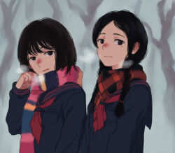  2girls absurdres adjusting_scarf arai_hana arisugawa_tetsuko black_eyes black_hair braid brown_hair cold hana_to_arisu_satsujin_jiken highres long_hair low_twin_braids mole mole_under_eye multiple_girls neckerchief plaid_clothes plaid_scarf red_neckerchief red_nose red_scarf rou_tiao scarf school_uniform short_hair steam straight_hair twin_braids 