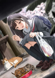  1girl :d animal baby_animal backpack bag black_hair black_serafuku black_shirt black_skirt black_socks blue_bag bowl brown_eyes brown_shoes cat cherry_blossoms commentary_request full_body highres holding holding_bag kitten kneehighs legs_together loafers long_hair long_sleeves looking_at_animal looking_down lower_teeth_only medium_skirt neckerchief open_mouth original pet_bowl pet_food plant plastic_bag pleated_skirt red_neckerchief sailor_collar school_uniform serafuku shirt shoes signature skirt smile socks solo soragane_(banisinngurei) squatting straight_hair teeth waving white_sailor_collar 