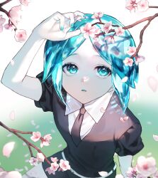  1other black_necktie black_shorts black_sweater cherry_blossoms colored_eyelashes crystal_hair gem_uniform_(houseki_no_kuni) ghg780850545501 green_eyes green_hair green_nails hand_on_own_head highres houseki_no_kuni looking_up necktie on_ground other_focus phosphophyllite puffy_short_sleeves puffy_sleeves shirt short_shorts short_sleeves shorts solo sweater white_shirt 
