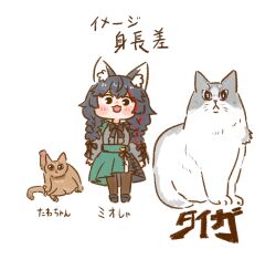  :3 ? animal animal_ear_fluff animal_ears black_hair cat cat_ears cat_tail closed_eyes commentary derivative_work dress english_commentary hololive nekoyama ookami_mio ookami_mio_(8th_costume) open_mouth photo-referenced red_hair simple_background standing taiga_(ookami_mio) tail tawa_(ookami_mio) testicles virtual_youtuber white_background wolf_ears wolf_girl 