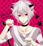  albino animal_ears bad_id cat_ears character_name choker fang kemonomimi_mode male msyrup papiko_(msyrup) paw_pose red_eyes solo tail to_aru_majutsu_no_index white_hair 