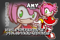 amy_rose animal_ears bracelet character_name dress gloves gold_bracelet green_eyes hairband hedgehog_girl jewelry lowres multicolored_shoes official_art pink_fur red_dress red_hairband red_shoes shoes sleeveless sleeveless_dress sonic_(series) sonic_battle two-tone_shoes white_gloves white_shoes zoom_layer 
