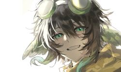  1boy absurdres animification bird_boy bishounen brown_hair commentary goggles goggles_on_head green_eyes grin head_wings highres lifesteal_smp looking_at_viewer male_focus minecraft_youtube parrot_boy parrotx2 portrait s-shark_(lofter_2286835154) short_hair simple_background smile solo white_background wings 