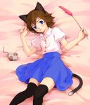  bad_id blue_eyes brown_hair cat_ears cat_tail crossdressinging face fideo_aldena highres inazuma_eleven inazuma_eleven_(series) mouse short_hair tail thigh-highs thighhighs trap yukasummer 