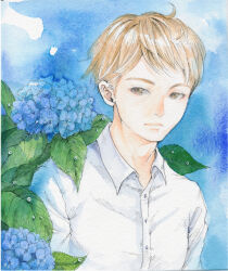  1boy absurdres blonde_hair brown_eyes collared_shirt commentary_request expressionless flower highres hydrangea male_focus original painting_(medium) pen_(medium) sato_(osappun) shirt solo traditional_media upper_body water_drop watercolor_(medium) white_shirt 
