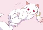  :3 animal_ears artist_request kyubey kyuubee mahou_shoujo_madoka_magica no_humans red_eyes solo source_request tail translation_request 