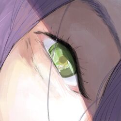  1boy 1girl chainsaw_man close-up denied_art denji_(chainsaw_man) eye_focus eye_reflection green_eyes highres purple_hair reflection reze_(chainsaw_man) 