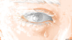  1boy 1girl absurdres close-up crying crying_with_eyes_open eye_focus eye_reflection faceless grey_eyes highres kyn_qu looking_at_viewer nephis_(shadow_slave) reflection shadow_slave sunny_(shadow_slave) tears white_hair 