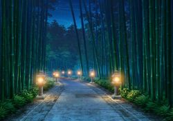  architecture bamboo bamboo_forest blue_archive brick_floor bush cool_colored east_asian_architecture fog forest game_cg glowing grass nature night no_humans non-web_source official_art outdoors path pavement perspective plant ring_of_light_(blue_archive) road scenery self-datamine sky star_(sky) stone_floor stone_lantern tree_shade 