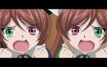  bicolored_eyes brown_hair clenched_fists heterochromia long_hair open_mouth rozen_maiden short_hair souseiseki suiseiseki twins 