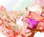  cherry_blossoms flower issun japanese_clothes kimono koku_666 okami sword ushiwakamaru weapon white_hair wolf 
