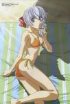  bikini bow braid fixed full_metal_panic full_metal_panic! grey_eyes hair_ribbon highres horiuchi_osamu ribbon scan side-tie_bikini silver_hair swimsuit swimsuit teletha_testarossa 