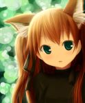  animal_ears brown_hair extra_ears fox_ears green_eyes hair_ribbon highres kanon kitsune ribbon sawatari_makoto turtleneck wadapen 