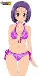  bikini sairenji_haruna signed swimsuit to_love-ru vector 