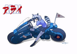  1girl 2017 akira_(manga) akira_slide alternate_color animal_ears black_gloves black_hair black_shoes black_skirt blue_shirt breasts brown_eyes character_name common_raccoon_(kemono_friends) dated fang flag flag_on_vehicle gloves grey_hair grey_pantyhose grin japari_symbol kaneda_shoutarou's_bike kemono_friends korean_commentary looking_at_viewer lucky_beast_(kemono_friends) medium_hair mixed-language_text motor_vehicle motorcycle multicolored_hair open_mouth pantyhose puffy_short_sleeves puffy_sleeves raccoon_ears raccoon_girl raccoon_tail riding roonhee shirt shoes short_sleeves sidelocks simple_background skirt small_breasts smile solo steering_wheel striped_tail tail two-tone_hair wheel white_background 