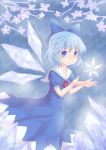  blue_dress blue_eyes blue_hair bow cherry_blossoms cirno dress futaki_nia hair_bow ice open_hands sailor_dress snowflakes solo sooki stare touhou wings 