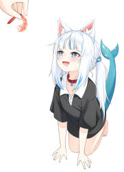  1girl 1other :d all_fours alternate_costume animal_ear_fluff animal_ears black_shirt blue_eyes blue_hair blue_nails blunt_bangs blush cat_ears collar collarbone commentary contrast_collar cube_hair_ornament english_commentary fang food full_body gawr_gura hair_ornament highres holding holding_food hololive hololive_english long_hair looking_at_food multicolored_hair nail_polish oversized_clothes oversized_shirt red_collar shirt short_sleeves shrimp sidelocks simple_background smile solo_focus streaked_hair twintails ugaaaa1 virtual_youtuber white_background 