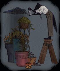  1boy animal_ears black_border black_fur black_necktie black_tail body_fur border brown_pants flower_pot furry furry_male gardening highres holding holding_watering_can ladder male_focus necktie on_ladder original pants plant potted_plant qende_(edneqivo) shirt standing suit tail watering watering_can white_shirt wolf wolf_boy wolf_ears wolf_tail 