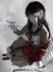  1girl artist_name bench bird bird_on_hand black_hair black_shoes blue_bird blue_ribbon brown_eyes collared_shirt commentary flower highres kara_no_shoujo kuchiki_touko light_particles long_hair looking_at_viewer red_flower red_rose ribbon ribs rose school_uniform serafuku shirt shoes sitting skirt solo white_shirt yautja 