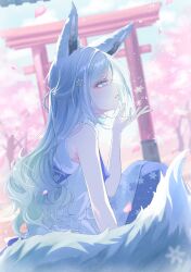  1girl animal_ears awanoo bloom_festival_(project_sekai) blue_dress blue_eyes blue_hair blurry blurry_background blurry_foreground cherry_blossoms commentary dress falling_petals fox_ears fox_girl fox_tail grey_dress hair_between_eyes hair_ornament half_updo hand_up hexagon_print high_collar highres hinomori_shizuku long_hair looking_at_viewer mole mole_under_mouth official_alternate_costume official_alternate_hairstyle parted_lips petals pink_petals profile project_sekai sidelocks sideways_glance sitting sleeveless sleeveless_dress snowflake_hair_ornament snowflake_print solo tail torii two-tone_dress 
