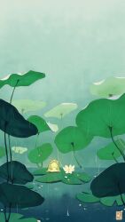  animal artist_logo artist_name commentary english_commentary film_grain flower frog grey_sky highres horizon lily_pad logo lotus_leaf marusa_gorjup nature no_humans original outdoors paid_reward_available rain ripples scenery sky water water_drop water_lily_flower white_flower 