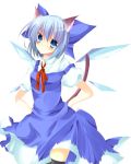  animal_ears blue_eyes blue_hair blush bow cat_ears cat_tail cirno dress hair_bow kemonomimi_mode kisaragi_kiriha large_bow neck_ribbon ribbon short_hair smile solo tail thighhighs touhou wings 