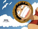  1boy bird black_hair blue_sky character_name cloud hat highres male monkey_d_luffy one_piece red_vest scar sky smile solo straw_hat teeth title_drop vest wallpaper 